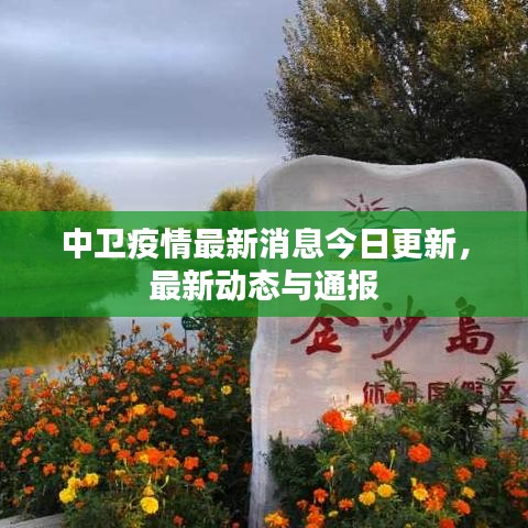 中卫疫情最新消息今日更新，最新动态与通报