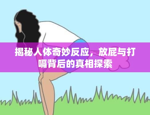 揭秘人体奇妙反应，放屁与打嗝背后的真相探索