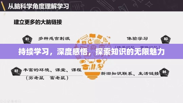 持续学习，深度感悟，探索知识的无限魅力