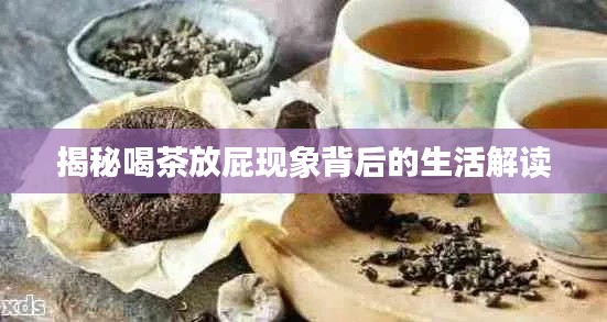 揭秘喝茶放屁现象背后的生活解读