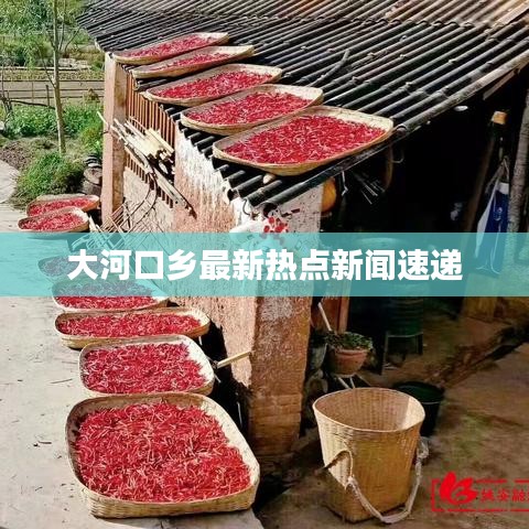 大河口乡最新热点新闻速递