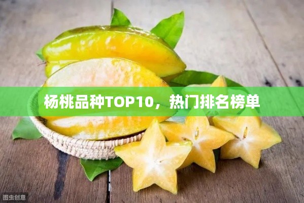 杨桃品种TOP10，热门排名榜单