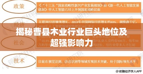 揭秘曹县木业行业巨头地位及超强影响力
