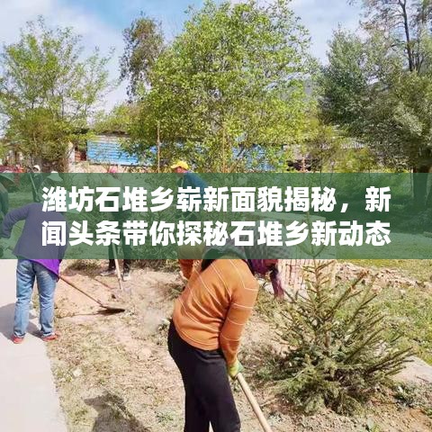 潍坊石堆乡崭新面貌揭秘，新闻头条带你探秘石堆乡新动态