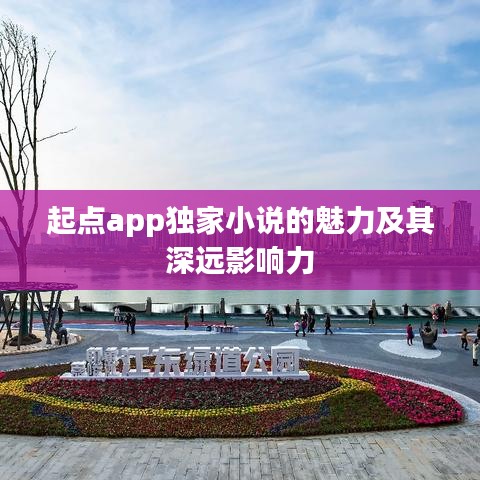起点app独家小说的魅力及其深远影响力