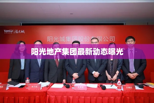 阳光地产集团最新动态曝光