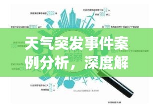 天气突发事件案例分析，深度解读背后的原因与应对策略