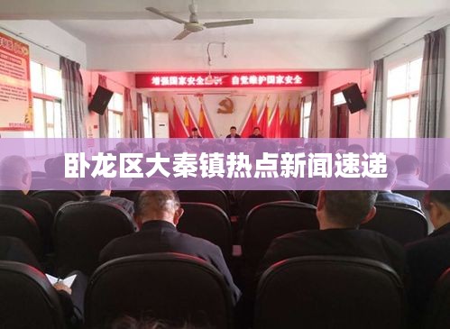 卧龙区大秦镇热点新闻速递