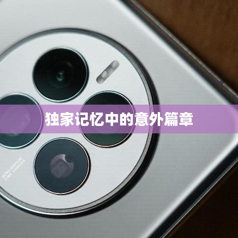 独家记忆中的意外篇章