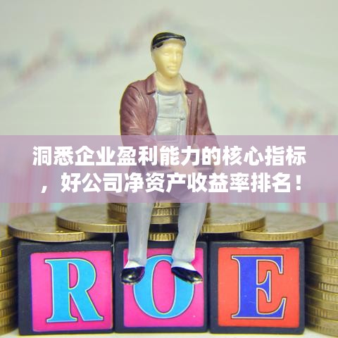 洞悉企业盈利能力的核心指标，好公司净资产收益率排名！