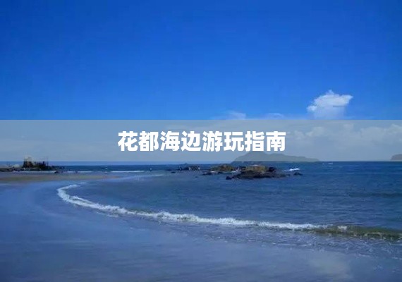 飞燕化龙