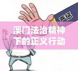澳门法治精神下的正义行动，抓捕行动引发关注热议