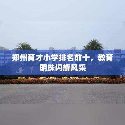 郑州育才小学排名前十，教育明珠闪耀风采