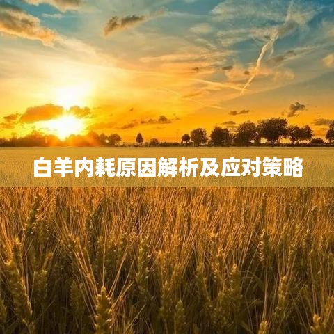白羊内耗原因解析及应对策略