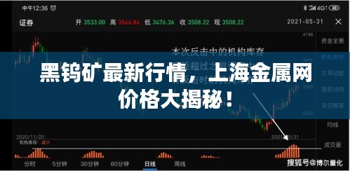 黑钨矿最新行情，上海金属网价格大揭秘！