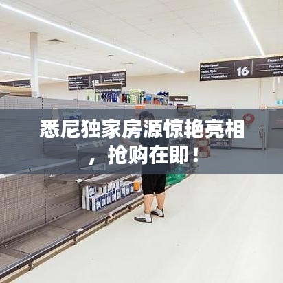 悉尼独家房源惊艳亮相，抢购在即！