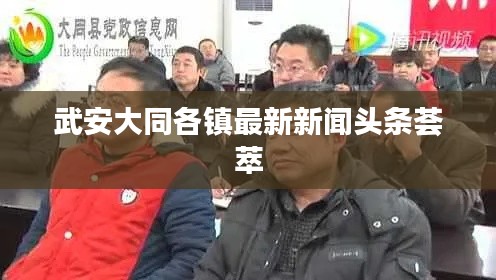 武安大同各镇最新新闻头条荟萃