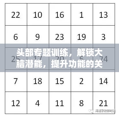 头部专题训练，解锁大脑潜能，提升功能的关键路径