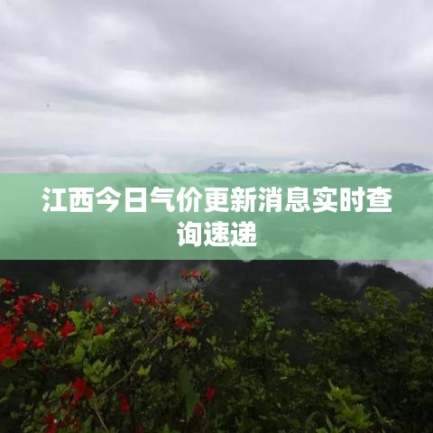 江西今日气价更新消息实时查询速递