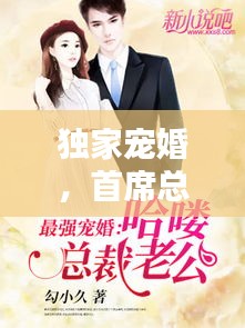 独家宠婚，首席总裁再次深情相遇