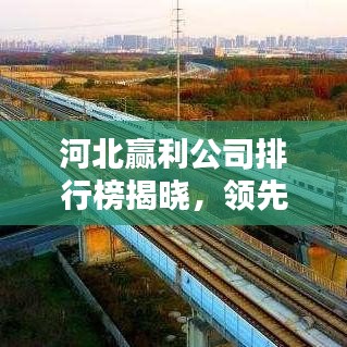 河北赢利公司排行榜揭晓，领先企业一览！