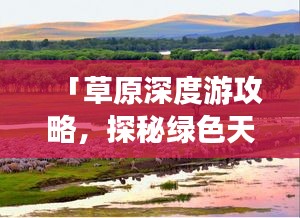 「草原深度游攻略，探秘绿色天地，尽享无边风光」