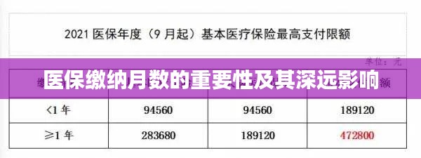 医保缴纳月数的重要性及其深远影响