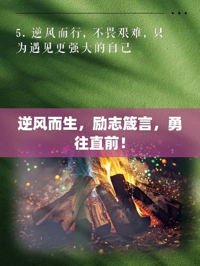 逆风而生，励志箴言，勇往直前！