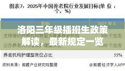 洛阳三年级插班生政策解读，最新规定一览