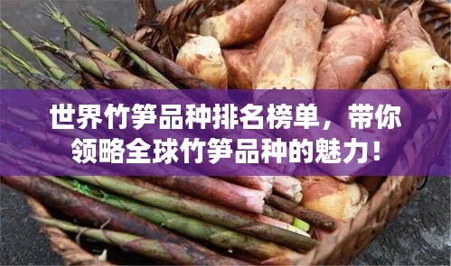 世界竹笋品种排名榜单，带你领略全球竹笋品种的魅力！