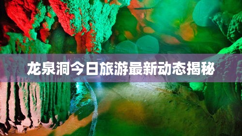 龙泉洞今日旅游最新动态揭秘