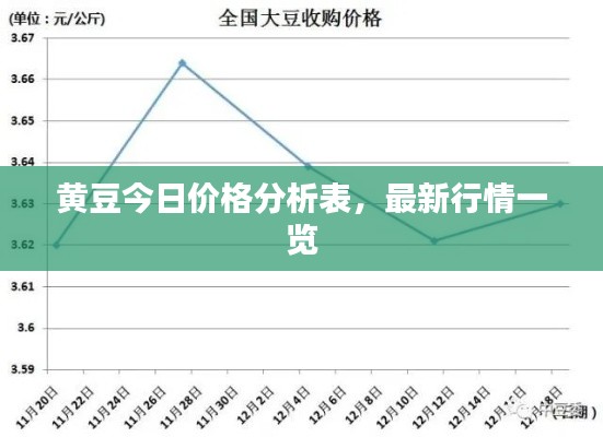 黄豆今日价格分析表，最新行情一览