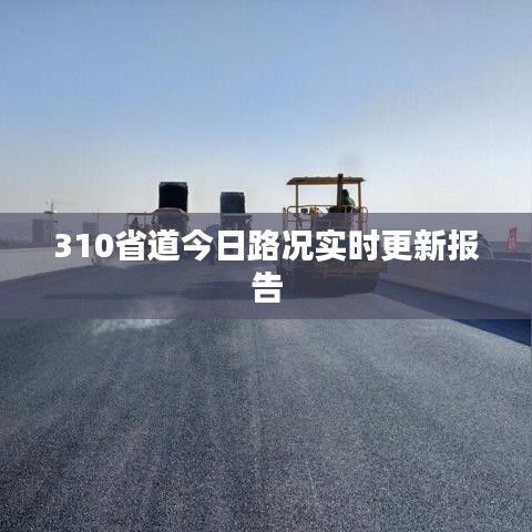 310省道今日路况实时更新报告