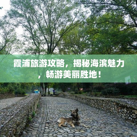 霞浦旅游攻略，揭秘海滨魅力，畅游美丽胜地！