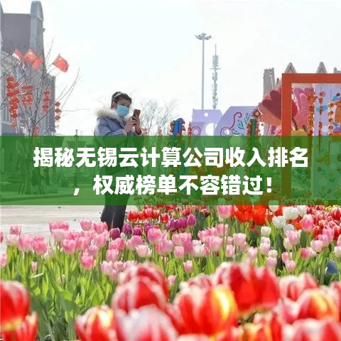 揭秘无锡云计算公司收入排名，权威榜单不容错过！