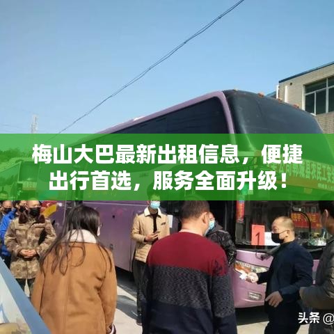 梅山大巴最新出租信息，便捷出行首选，服务全面升级！