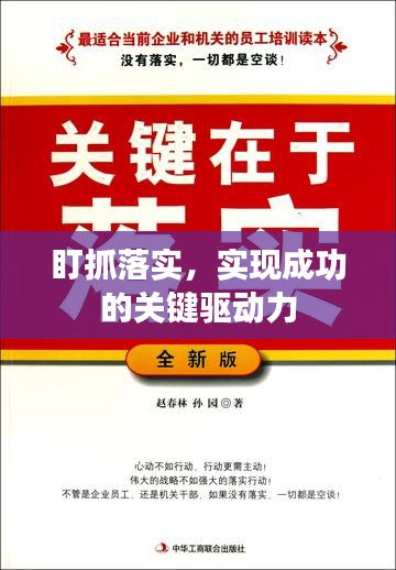 盯抓落实，实现成功的关键驱动力