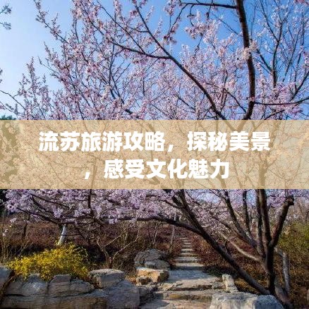 流苏旅游攻略，探秘美景，感受文化魅力