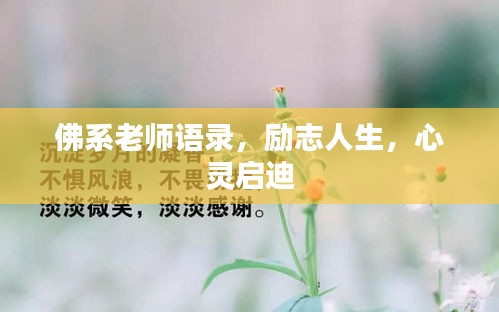 佛系老师语录，励志人生，心灵启迪