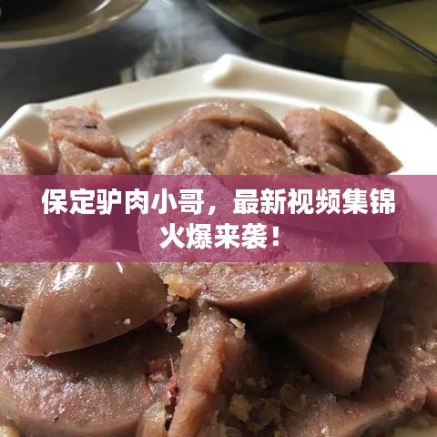 保定驴肉小哥，最新视频集锦火爆来袭！