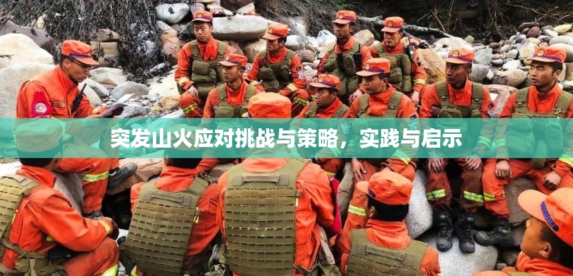 突发山火应对挑战与策略，实践与启示