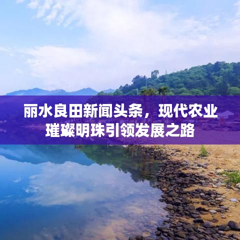 丽水良田新闻头条，现代农业璀璨明珠引领发展之路