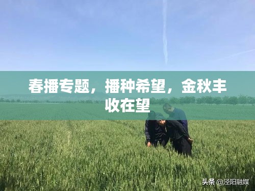 春播专题，播种希望，金秋丰收在望