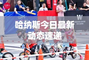 哈纳斯今日最新动态速递