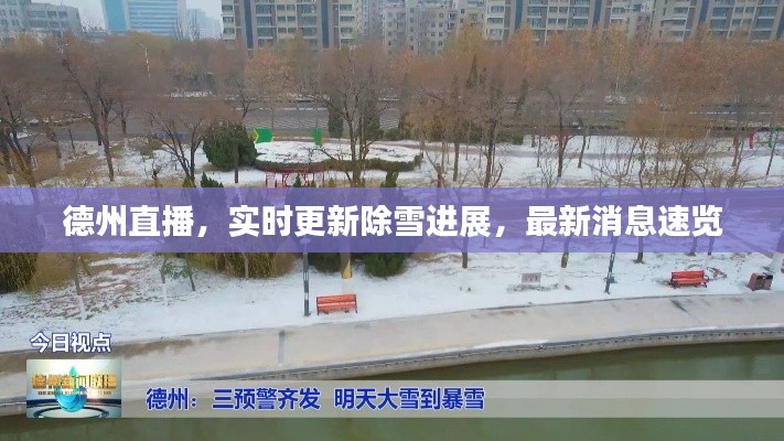 德州直播，实时更新除雪进展，最新消息速览