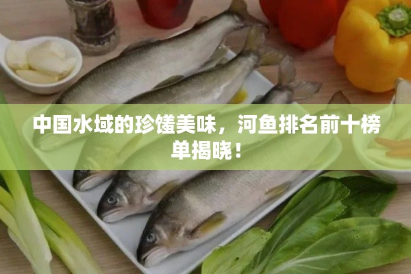 中国水域的珍馐美味，河鱼排名前十榜单揭晓！