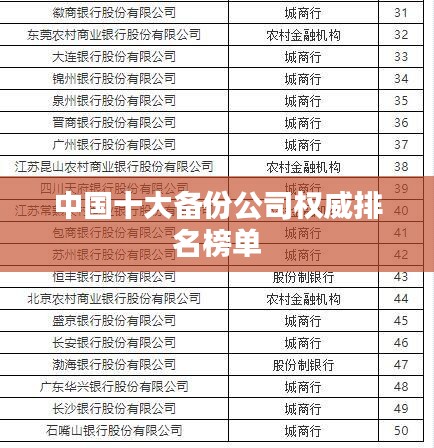 中国十大备份公司权威排名榜单