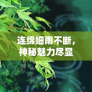 连绵细雨不断，神秘魅力尽显