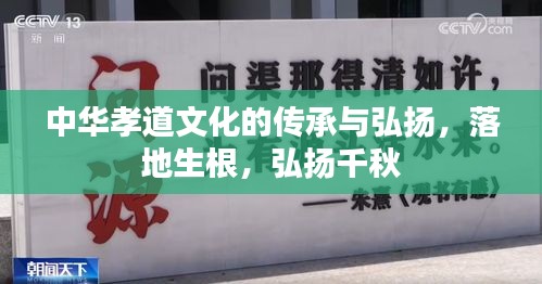 中华孝道文化的传承与弘扬，落地生根，弘扬千秋