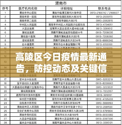 高陵区今日疫情最新通告，防控动态及关键信息汇总